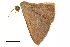  ( - BIOUG31846-F01)  @11 [ ] CreativeCommons - Attribution (2018) CBG Photography Group Centre for Biodiversity Genomics