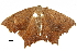  ( - BIOUG32020-B05)  @11 [ ] CreativeCommons - Attribution (2018) CBG Photography Group Centre for Biodiversity Genomics