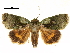  ( - BIOUG32020-E07)  @11 [ ] CreativeCommons - Attribution (2018) CBG Photography Group Centre for Biodiversity Genomics