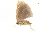  ( - BIOUG36914-H09)  @11 [ ] CreativeCommons - Attribution (2018) CBG Photography Group Centre for Biodiversity Genomics
