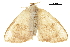  ( - BIOUG36916-A02)  @11 [ ] CreativeCommons - Attribution (2018) CBG Photography Group Centre for Biodiversity Genomics