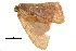  ( - BIOUG36916-F03)  @12 [ ] CreativeCommons - Attribution (2018) CBG Photography Group Centre for Biodiversity Genomics
