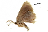  ( - BIOUG36917-C06)  @11 [ ] CreativeCommons - Attribution (2018) CBG Photography Group Centre for Biodiversity Genomics