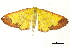  ( - BIOUG36919-C05)  @11 [ ] CreativeCommons - Attribution (2018) CBG Photography Group Centre for Biodiversity Genomics