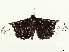  ( - BIOUG36920-B09)  @11 [ ] CreativeCommons - Attribution (2022) CBG Photography Group Centre for Biodiversity Genomics