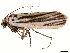  ( - BIOUG36920-E05)  @11 [ ] CreativeCommons - Attribution (2022) CBG Photography Group Centre for Biodiversity Genomics