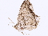  ( - BIOUG36920-H05)  @11 [ ] CreativeCommons - Attribution (2022) CBG Photography Group Centre for Biodiversity Genomics