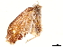  ( - BIOUG36920-H06)  @11 [ ] CreativeCommons - Attribution (2022) CBG Photography Group Centre for Biodiversity Genomics