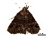  ( - BIOUG39661-B10)  @11 [ ] CreativeCommons - Attribution (2019) CBG Photography Group Centre for Biodiversity Genomics