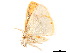  ( - BIOUG39661-E09)  @11 [ ] CreativeCommons - Attribution (2019) CBG Photography Group Centre for Biodiversity Genomics