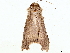  ( - BIOUG47759-B07)  @11 [ ] CreativeCommons - Attribution (2022) CBG Photography Group Centre for Biodiversity Genomics