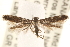  ( - BIOUG10886-G06)  @13 [ ] CreativeCommons - Attribution (2014) CBG Photography Group Centre for Biodiversity Genomics