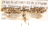  ( - CCDB-22971-C06)  @13 [ ] CreativeCommons - Attribution (2014) CBG Photography Group Centre for Biodiversity Genomics