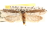  ( - CCDB-22971-F06)  @11 [ ] CreativeCommons - Attribution (2014) CBG Photography Group Centre for Biodiversity Genomics