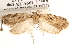  ( - CCDB-22971-G11)  @11 [ ] CreativeCommons - Attribution (2014) CBG Photography Group Centre for Biodiversity Genomics