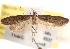  ( - CCDB-22972-B02)  @13 [ ] CreativeCommons - Attribution (2014) CBG Photography Group Centre for Biodiversity Genomics