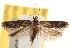  ( - CCDB-22972-C08)  @14 [ ] CreativeCommons - Attribution (2014) CBG Photography Group Centre for Biodiversity Genomics