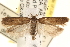  ( - CCDB-22972-E04)  @14 [ ] CreativeCommons - Attribution (2014) CBG Photography Group Centre for Biodiversity Genomics