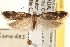  ( - CCDB-22972-E05)  @14 [ ] CreativeCommons - Attribution (2014) CBG Photography Group Centre for Biodiversity Genomics