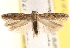  ( - CCDB-22972-F07)  @14 [ ] CreativeCommons - Attribution (2014) CBG Photography Group Centre for Biodiversity Genomics
