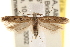  ( - CCDB-22972-F08)  @15 [ ] CreativeCommons - Attribution (2014) CBG Photography Group Centre for Biodiversity Genomics
