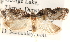  ( - CCDB-22973-B01)  @11 [ ] CreativeCommons - Attribution (2014) CBG Photography Group Centre for Biodiversity Genomics