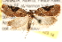  ( - CCDB-22973-B11)  @13 [ ] CreativeCommons - Attribution (2014) CBG Photography Group Centre for Biodiversity Genomics