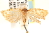  ( - CCDB-22973-C09)  @13 [ ] CreativeCommons - Attribution (2014) CBG Photography Group Centre for Biodiversity Genomics