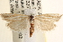  ( - CCDB-22974-A03)  @14 [ ] CreativeCommons - Attribution (2014) CBG Photography Group Centre for Biodiversity Genomics