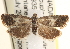  ( - CCDB-22974-B07)  @14 [ ] CreativeCommons - Attribution (2014) CBG Photography Group Centre for Biodiversity Genomics