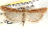  ( - CCDB-22974-F08)  @11 [ ] CreativeCommons - Attribution (2014) CBG Photography Group Centre for Biodiversity Genomics