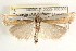  ( - CCDB-22974-G04)  @13 [ ] CreativeCommons - Attribution (2014) CBG Photography Group Centre for Biodiversity Genomics
