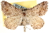  ( - CCDB-22975-C02)  @14 [ ] CreativeCommons - Attribution (2014) CBG Photography Group Centre for Biodiversity Genomics