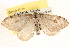  ( - CCDB-22975-E02)  @14 [ ] CreativeCommons - Attribution (2014) CBG Photography Group Centre for Biodiversity Genomics