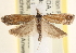 ( - CCDB-22975-G09)  @14 [ ] CreativeCommons - Attribution (2014) CBG Photography Group Centre for Biodiversity Genomics