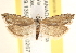  ( - CCDB-22975-G11)  @13 [ ] CreativeCommons - Attribution (2014) CBG Photography Group Centre for Biodiversity Genomics
