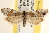  ( - CCDB-22975-H05)  @14 [ ] CreativeCommons - Attribution (2014) CBG Photography Group Centre for Biodiversity Genomics