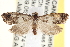  ( - CCDB-22976-A08)  @13 [ ] CreativeCommons - Attribution (2014) CBG Photography Group Centre for Biodiversity Genomics