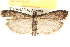  ( - CCDB-22976-B05)  @14 [ ] CreativeCommons - Attribution (2014) CBG Photography Group Centre for Biodiversity Genomics