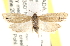  ( - CCDB-22976-D04)  @12 [ ] CreativeCommons - Attribution (2014) CBG Photography Group Centre for Biodiversity Genomics