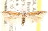  ( - CCDB-22976-H03)  @14 [ ] CreativeCommons - Attribution (2014) CBG Photography Group Centre for Biodiversity Genomics