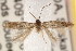  ( - CCDB-22977-A05)  @11 [ ] CreativeCommons - Attribution (2014) CBG Photography Group Centre for Biodiversity Genomics