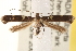  ( - CCDB-22977-B08)  @13 [ ] CreativeCommons - Attribution (2014) CBG Photography Group Centre for Biodiversity Genomics