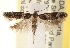  ( - CCDB-22977-D08)  @14 [ ] CreativeCommons - Attribution (2014) CBG Photography Group Centre for Biodiversity Genomics