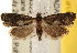  ( - CCDB-22977-E04)  @14 [ ] CreativeCommons - Attribution (2014) CBG Photography Group Centre for Biodiversity Genomics
