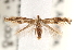  ( - CCDB-22978-A08)  @14 [ ] CreativeCommons - Attribution (2014) CBG Photography Group Centre for Biodiversity Genomics