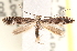  ( - CCDB-22978-B03)  @14 [ ] CreativeCommons - Attribution (2014) CBG Photography Group Centre for Biodiversity Genomics