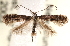  ( - CCDB-22978-B04)  @11 [ ] CreativeCommons - Attribution (2014) CBG Photography Group Centre for Biodiversity Genomics