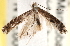  ( - CCDB-22978-B05)  @11 [ ] CreativeCommons - Attribution (2014) CBG Photography Group Centre for Biodiversity Genomics