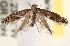  ( - CCDB-22978-B06)  @14 [ ] CreativeCommons - Attribution (2014) CBG Photography Group Centre for Biodiversity Genomics